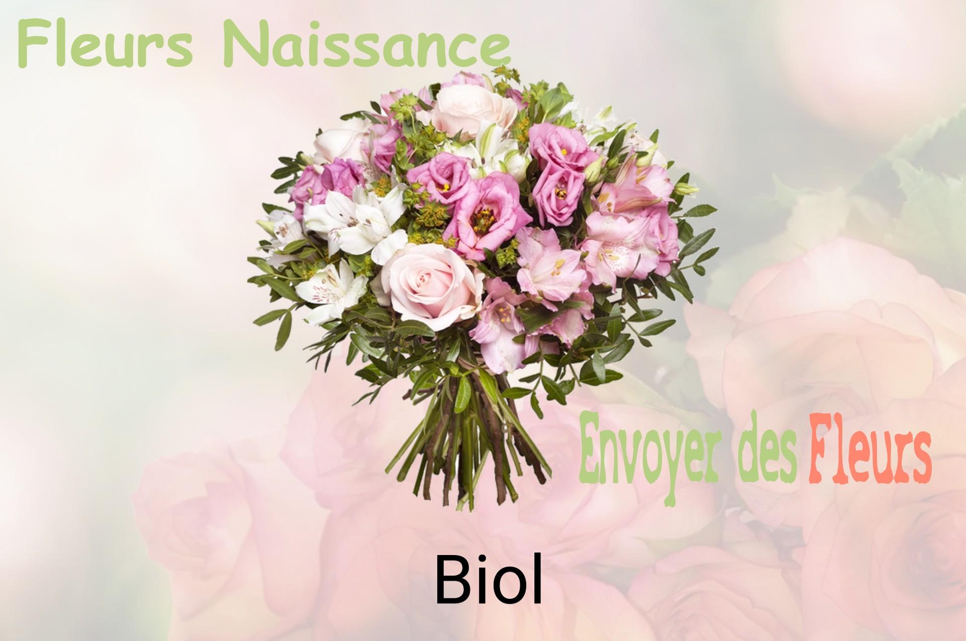 Bouquet de fleurs de naissance livré à Biol