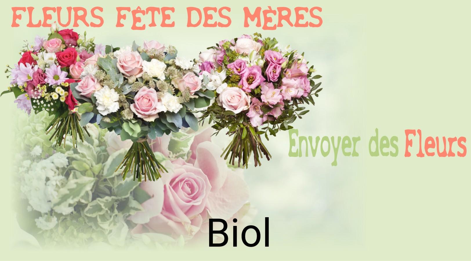 Bouquet de Fête des Mères livré à Biol