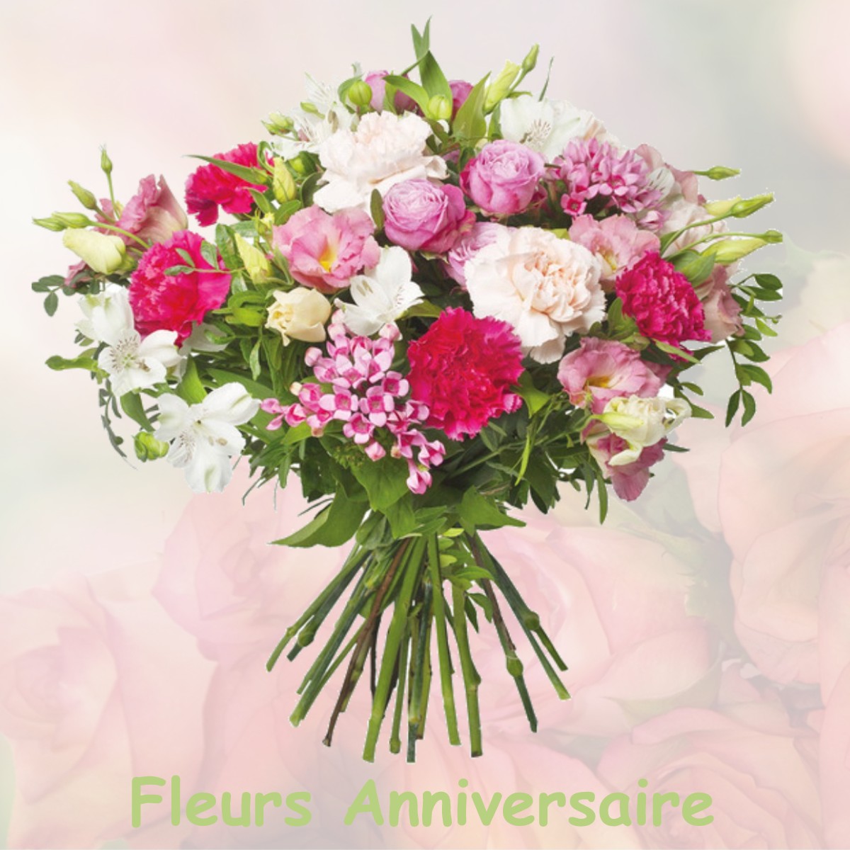 fleurs anniversaire BIOL