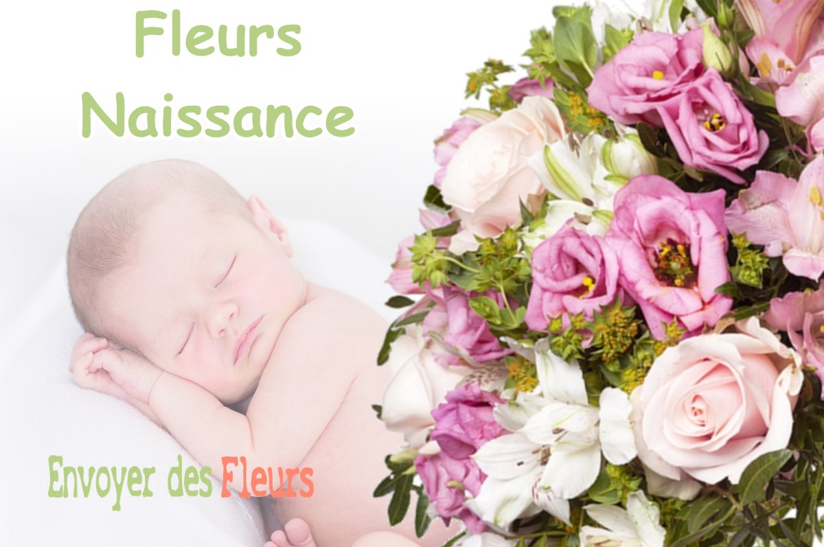 lIVRAISON FLEURS NAISSANCE à BIOL